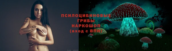 спайс Богородицк