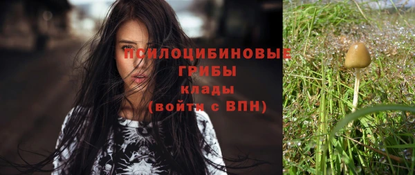 марихуана Бородино